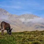 La Ca Granda, Quiet House With Mountain Views Tatil Evi *